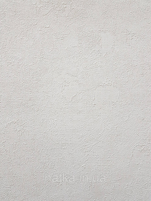 Обои винил на флизелине AS creation Metropolitan stories ByTime 0,53х10 под штукатурку белые молочные Киев - изображение 2