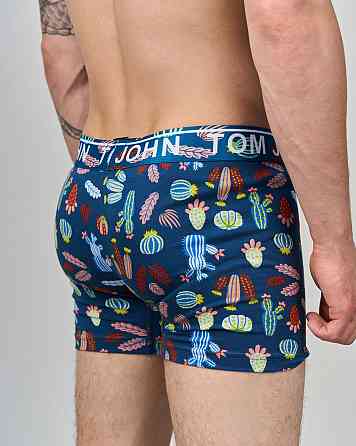 Боксеры мужские Tom John - Кактусы 2200-17 XXL Киев