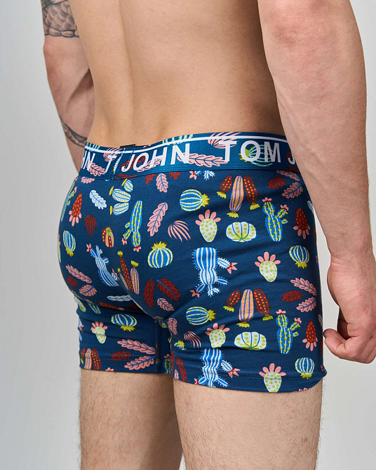 Боксеры мужские Tom John - Кактусы 2200-17 XXL Киев - изображение 4