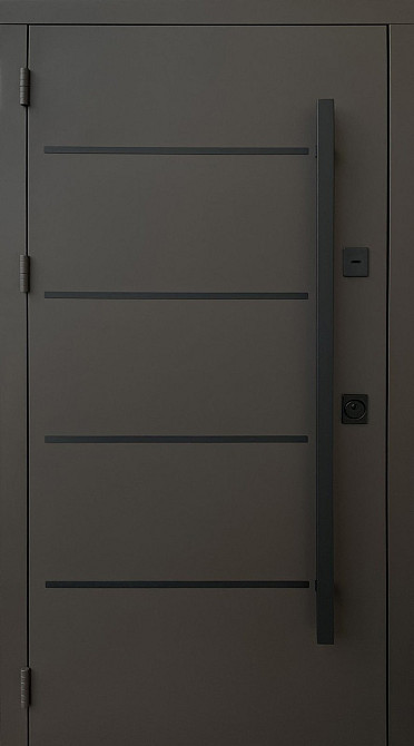 Двері вуличні Qdoors серія СТРІТ 3К з ТЕРМОРОЗРИВОМ модель ГОРИЗОНТАЛЬ Київ - фото 1