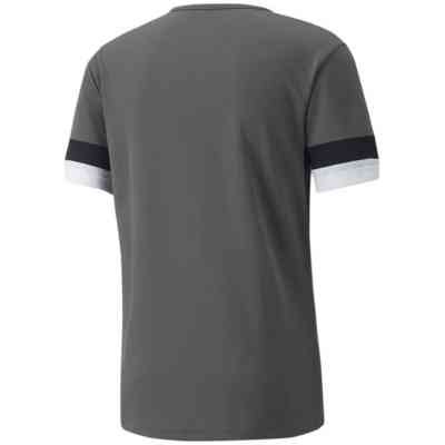 Футболка Puma teamRISE Jersey 704932-13 сірий XXL (4063699213317) Винница