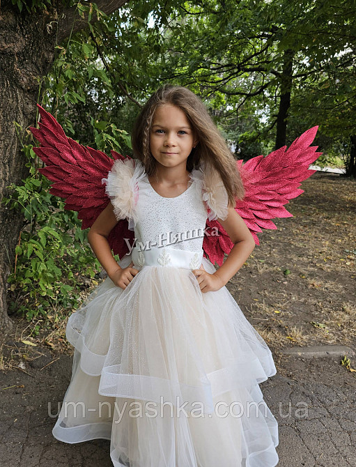 Червоні Крила великі Кривий Ріг - фото 4