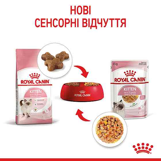 Вологий корм для кошенят ROYAL CANIN KITTEN IN JELLY 0.085 кг Київ