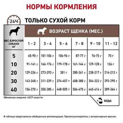Royal Canin Gastrointistinal Puppy (Рояв Канін Гастроінтензал Паппі) корм для цуценят для системи травлення 2.5 кг. Запоріжжя