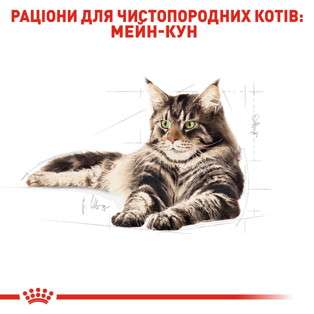 Корм для дорослих котів породи Мейн-Кун ROYAL CANIN MAINECOON ADULT 10.0 кг Київ - фото 3
