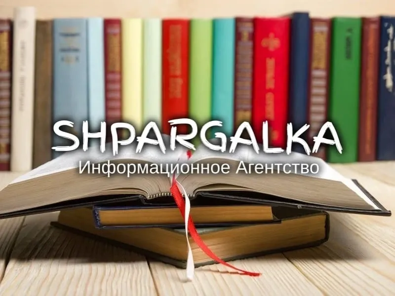 Разработка стартапа для дипломной работы на заказ в Украине Дніпро - фото 1