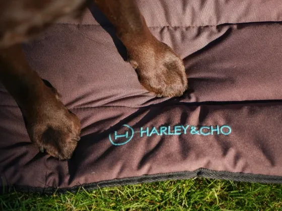 Килимок лежак для собак на прогулянці Travel Roll Up Harley and Cho Brown Одеса