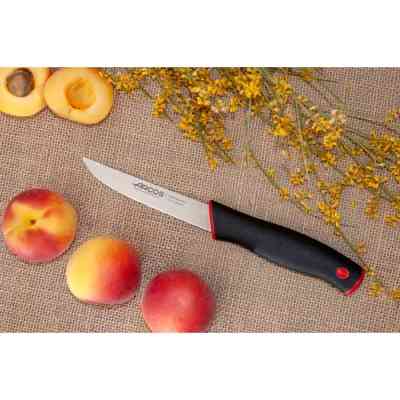 Кухонный нож Arcos Duo для овочів 110 мм (147222) Винница