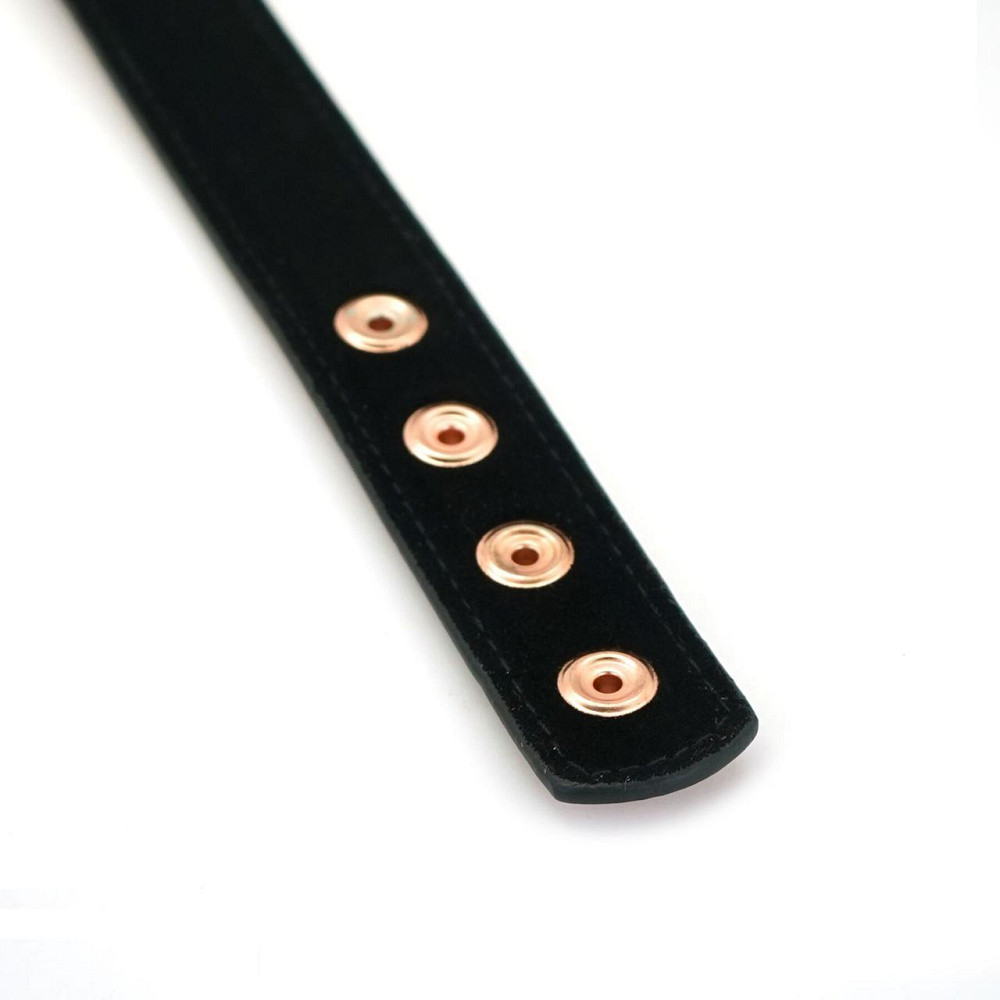 Нашийник із затискачами для сосків Liebe Seele Rose Gold Memory Collar with Nipple Clamps, шкіра Sex Aura Київ - фото 7