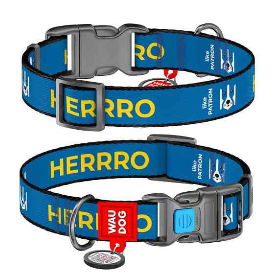 Нашийник для собак нейлоновий WAUDOG Nylon з QR-паспортом, малюнок "Парон", пластиковий фастекс, L, Ш 25 мм, Вінниця