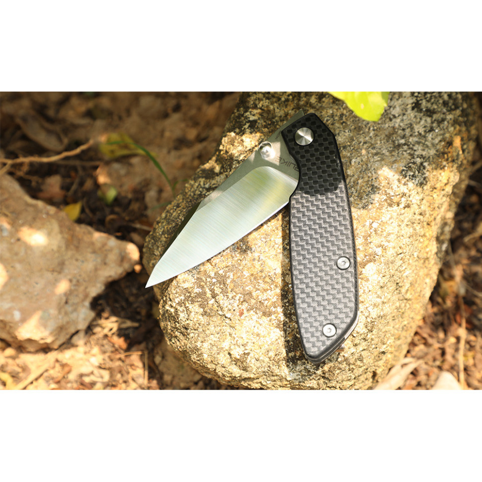 Ніж складаний туристичний Ruike P746-CB, (8 см) 14C28N / G10 чорний Киев - изображение 10
