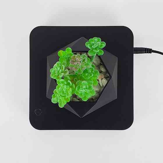 Магнітний левітаційний горщик для рослин HCNT Magnetic Levitating Pot M10-GW4 Black Київ