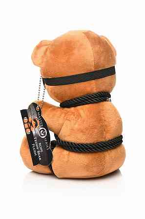 Плюшевий ведмедик ROPE Teddy Bear БДСМ у шкіряній масці та обв’язці, 22x16x12 см Sex Aura Київ
