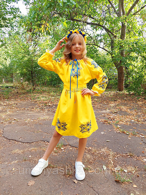 Сукня вишиванка жовто-синя Кривий Ріг - фото 10