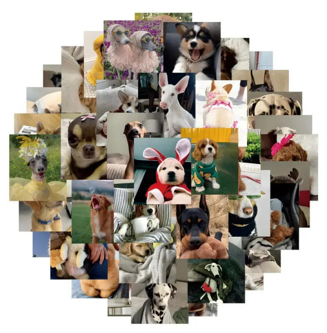 50 милых реалистичных наклеек с щенками. Водонепроницаемые виниловые эстетические наклейки с собакам Киев - изображение 4