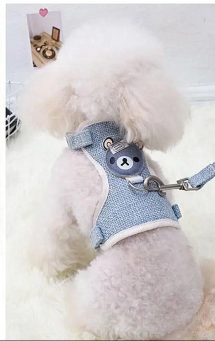 Шлея для собачек и кошек с поводком тканевая S голубой Киев - изображение 8