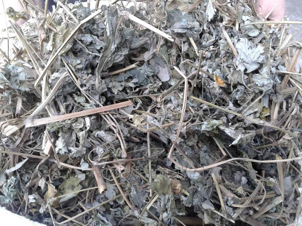 Чистотел (трава), 500г. MasterSEM Киев - изображение 1