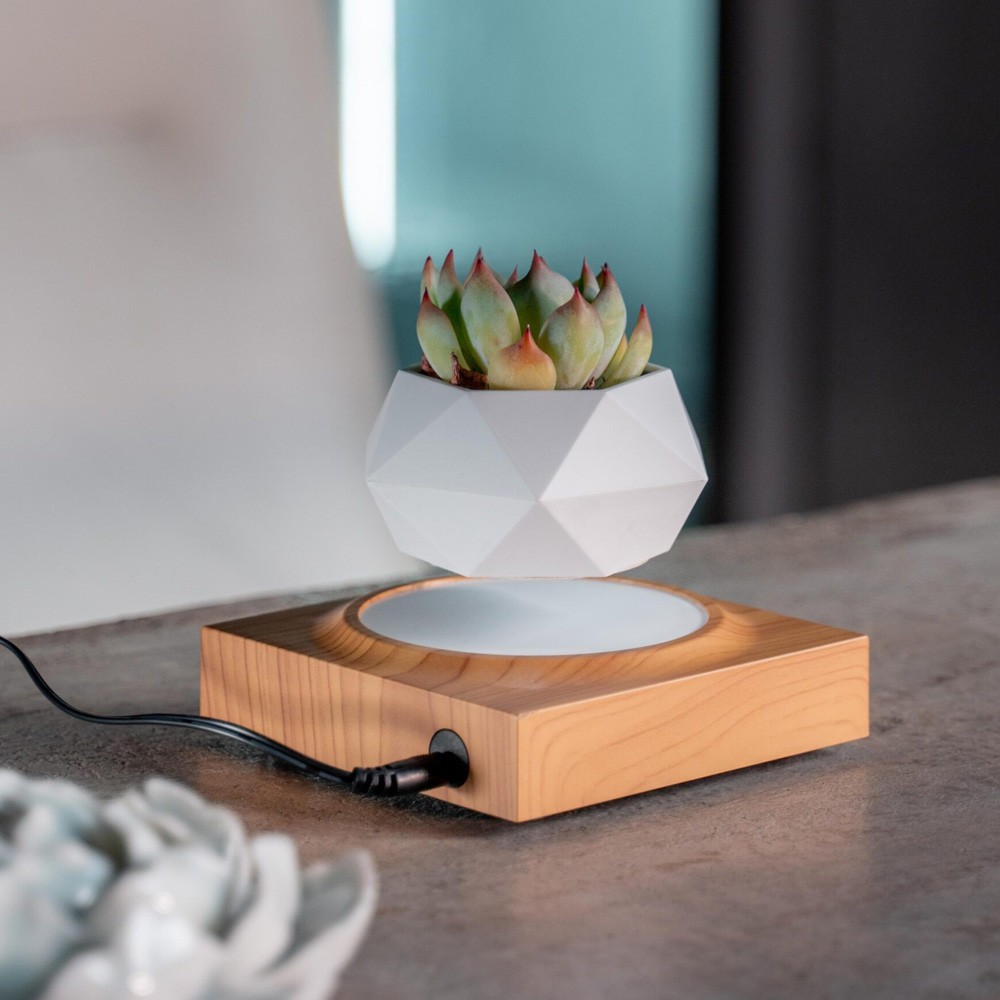 Левітуючий горщик для рослин з дерев'яним візерунком Київ - фото 2