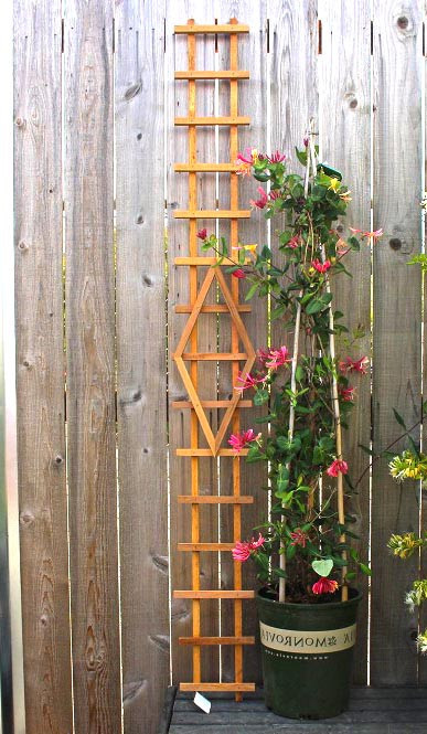 Опора для плетущихся 