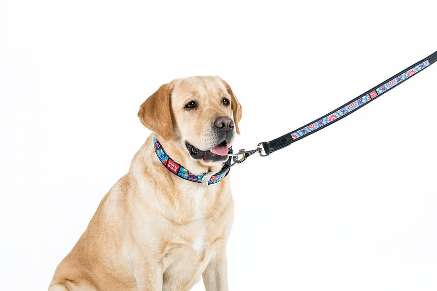 Повідець WAUDOG Design з малюнком "Квіти" (ширина 25 мм, довжина 122 см) чорний Коломия - фото 3