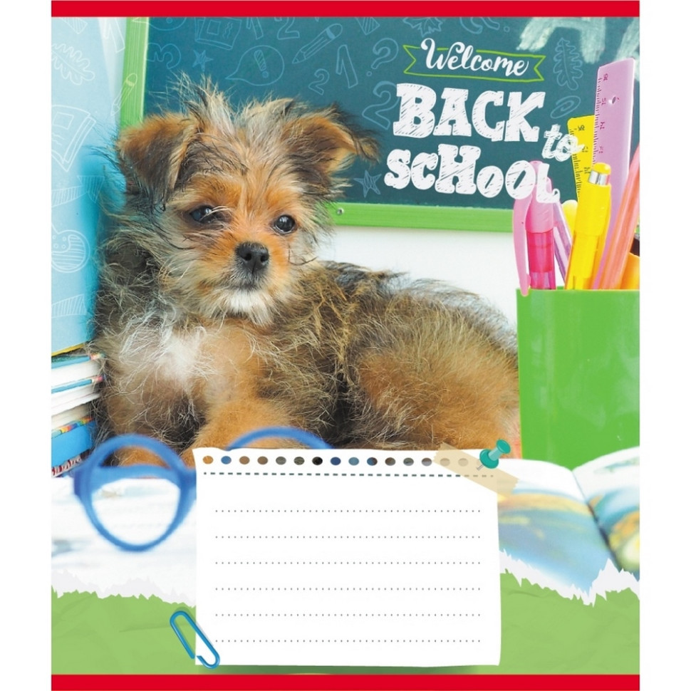 Зошит учнівський "Собака студент" 018-540178L-5 в лінію, 18 аркушів Вінниця - фото 1