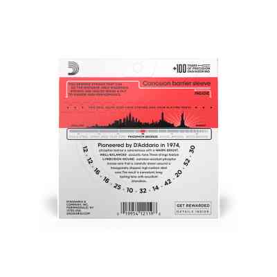 Струни для гітари D'Addario Phosphor Bronze Medium 12-String (12-52) (EJ39) Вінниця