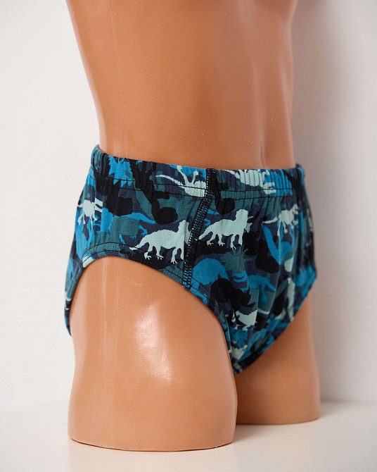 Подростковые трусы на мальчика - Динозавры (5шт в уп) Nicoletta 41717 8-9 Киев - изображение 4