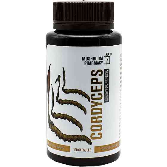 Гриб Кордицепс ФитоБиоТехнологии капсулы 120 шт Луцк
