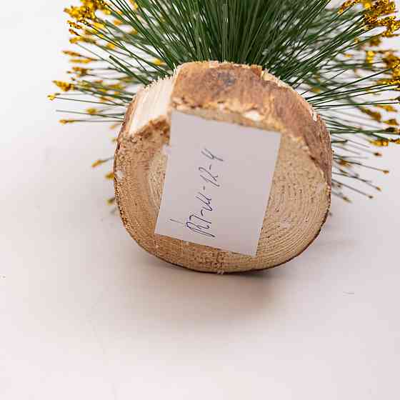 Новогодняя настольная елка золотая Стрела 25 см на деревянной подставке SOK-М-12-4 Киев