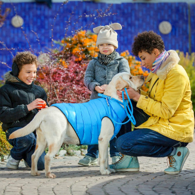 Курточка для животных Airy Vest двусторонняя XS 30 чёрно-голубая (1595) Винница - изображение 5