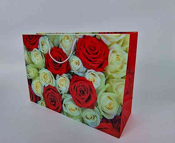 Паперовий пакет горизонтальний гігант 46*33*15 (артGG-076) (12 шт.) Харків