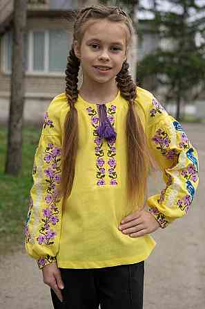 Вышиванка для девочек льняная с длинным рукавом, лен, топ Киев