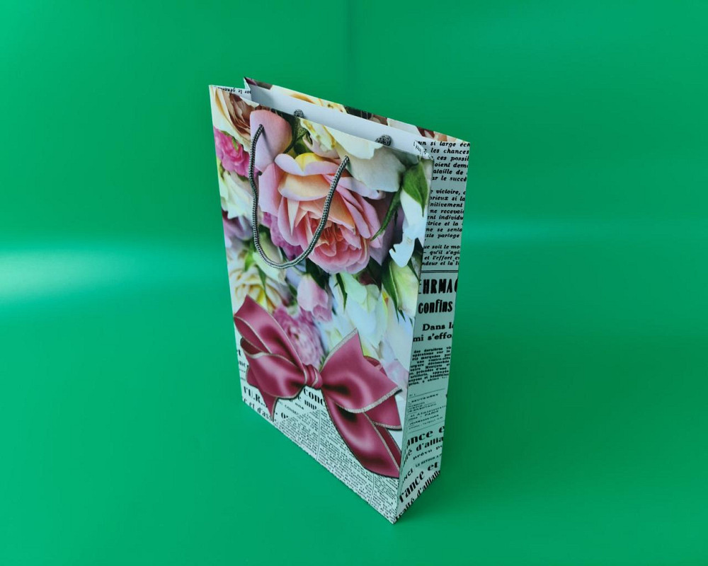 Великий паперовий пакет вертикальний 25/37/8 (артBV-060) (12 шт.) Харків - фото 1