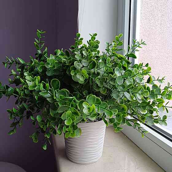 Штучний кущ  Самшиту із латексу Дніпро