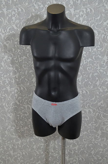 Труси чоловічі бавовна Класика сірий (2шт в уп) Lans 02/005.1 3XL Київ - фото 1