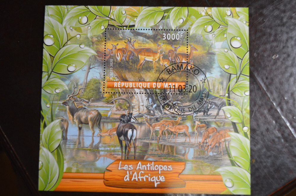 Мали. Марки. Фауна. Блок. 2020 год (В-1) Полтава - изображение 1
