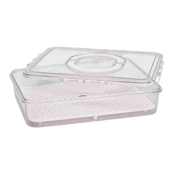Контейнер для їжі з ручкою 31х24х7 см пластиковий харчовий контейнер 2.5 л HP-27-10 Коломия
