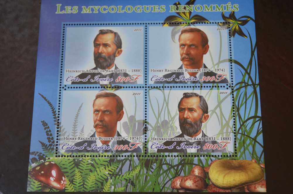 Марки. Особистості. Блок. 2011 рік (А-15) Полтава - фото 1