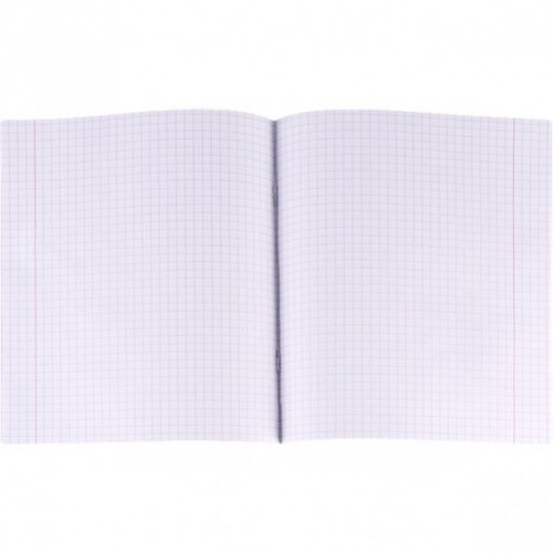 Шкільний зошит у клітку 12 аркушів Київ - фото 3