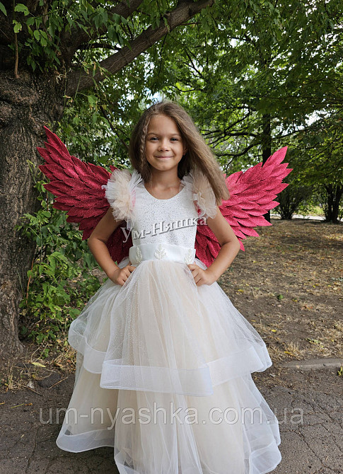 Червоні Крила великі Кривий Ріг - фото 3