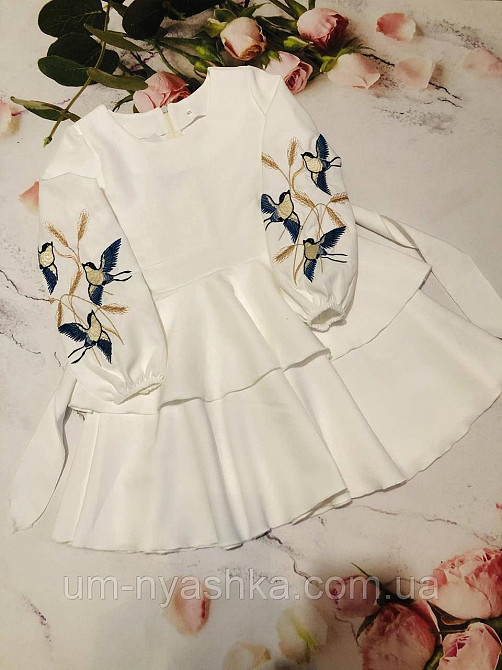 Дитяче плаття з вишивкою на рукавах Поділля-колоски Кривий Ріг - фото 9