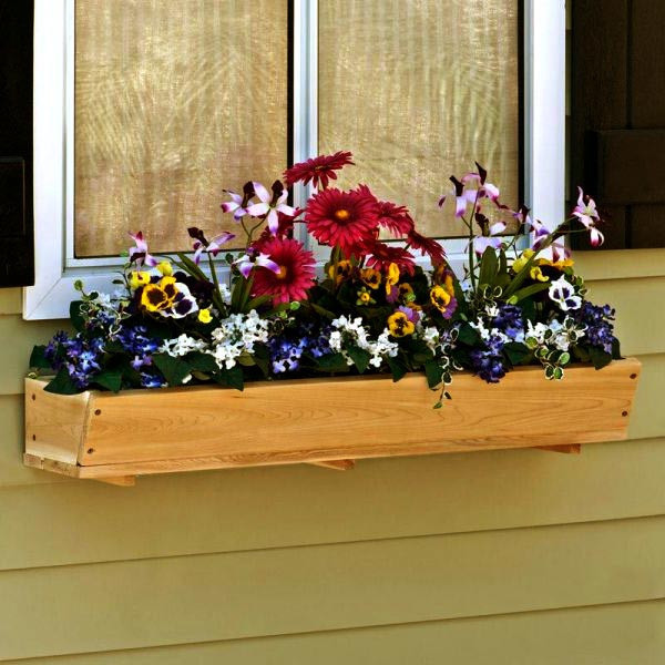 Квітник на підвіконня "Ітаба" ваніль Миколаїв - фото 1