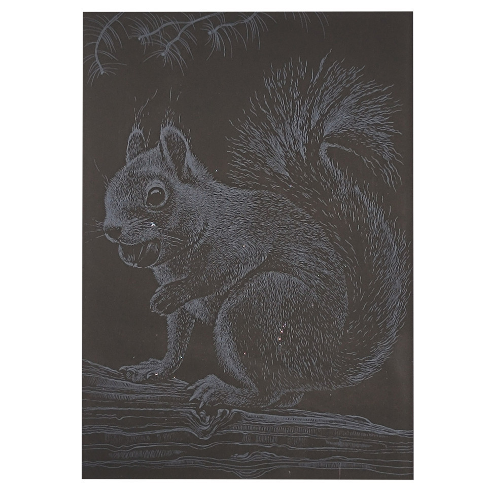 Гравюра А5 "Білочка" ГрА5с-22 економ варіант у пакеті 21 х 14,8 см Вінниця - фото 1
