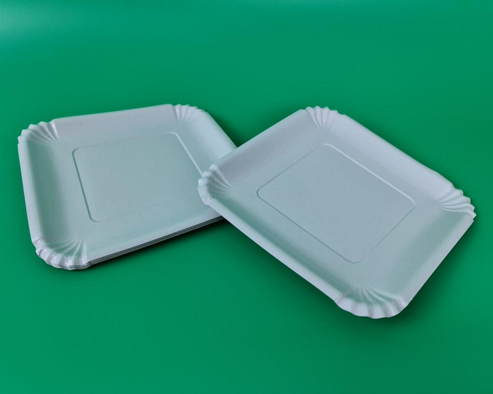 Паперова тарілка з малюнком 100 шт. 21*21 см Біла (1 пачка) Харків - фото 1