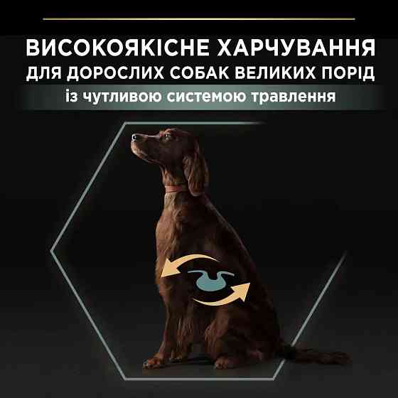 Сухий корм PRO PLAN Large Athletic Adult 2+ Sensitive Digestion для дорослих собак великих порід атлетичної статури, з чутливим травленням, з ягням, 1 Київ