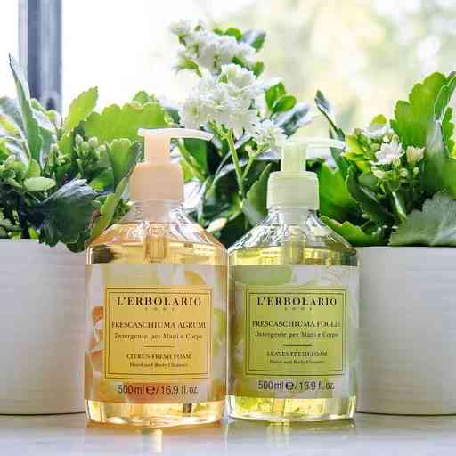 Очищуюча пінка з ароматом Свіжого листя L'ERBOLARIO 500 мл Київ