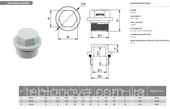 Заглушка с резьбой PPR ø3/4 (Полипропилен)  Raftec RP02 Черновцы