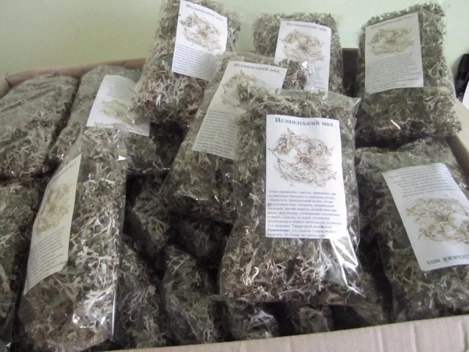 50шт*50грам., Исландский мох / Цетрария MasterSEM Киев - изображение 1
