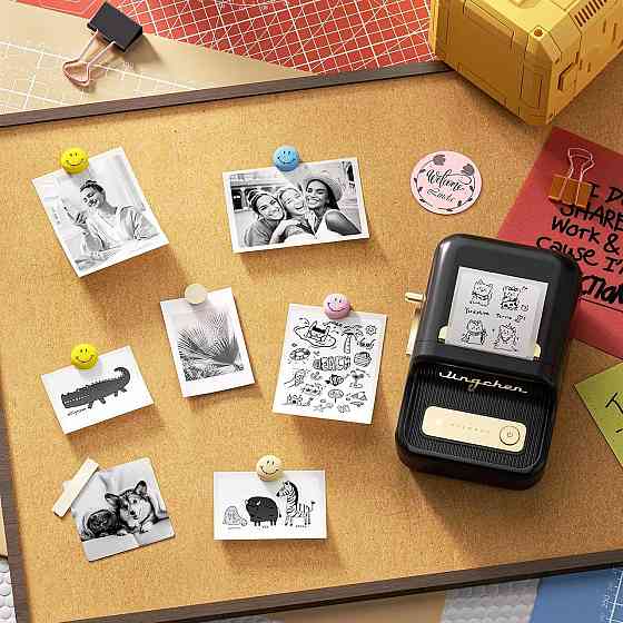 Термопринтер для наклеек NIIMBOT B21S черный Киев