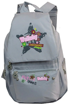 Рюкзак Wallaby University серый S438001 Киев - изображение 1